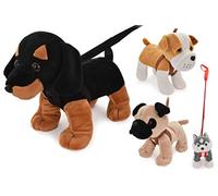 KandyToys Plush Toy Dog on Lead | Assorted Designs One Supplied at Random | Dog Teddy For Kids