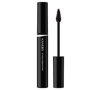 Kanebo - Styling Eyebrow Fixer EF1 Shade Black
