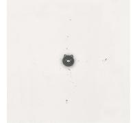 Kanekoayano - Ishi No Ito Hitorideni