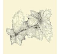 KANG,EYVIND - Plainlight [VINYL]