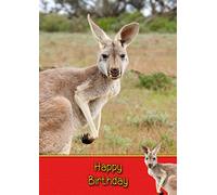 Kangaroo Birthday Card