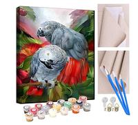 KANGBAWA DIY Paint by Numbers Grey Parrot Animal with Paint Brushes and Acrylic Painting Kit 16x20 Inch for Kids and Adults Beginner Gifts