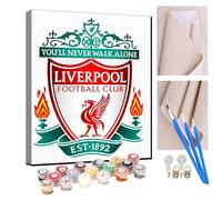 KANGBAWA Paint by Numbers for Adults Football Team Logo DIY Oil Paint by Number Kits on Canvas Adult Paint by Number with Brushes Art Crafts 16"x20"(Frameless)