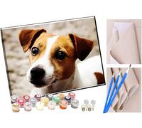 KANGBAWA Paint by Numbers for Adults Jack Russell Terrier 16x20 inch Acrylic Oil Painting Kits for Adults Kids Art Crafts Kit with 3 Brushes on Canvas for Adults Beginner Kids