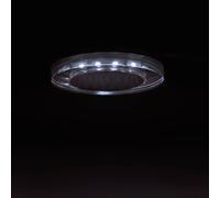 Kanlux Soren GU10 LED Blue Warm Cool White Strip 3 Mode Ceiling Down Spot Light