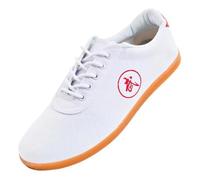 KANLVU Kung Fu Shoes for Men & Women Traditional Martial Arts Shoes with Non-Slip Sole and Breathable Fabric Outdoor Running Sneakers for Tai Chi & Exercise(White,3.5UK)