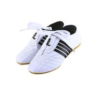 KANLVU Light Soft Tai Chi Kung Fu Shoes for Men & Women Martial Arts with Non-Slip Sole, Taekwondo for Wushu, Karate and Light Exercise(9 UK) White