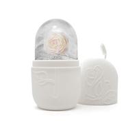 KANLVU Reusable Leak-Proof Silicone Ice Roller for Face, Diy Facial Massage Tool for Cold Therapy, Puffiness Eyes, Circulation, Recovery Soothe Skin,(White)