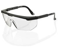BEESWIFT Safety Spectacles Kansas Anti-Mist Clear