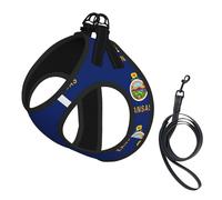 Kansas State Flag Print Dog Harness with Leash Set with Thickened Padded Vest for Extra-Small/Small Medium Dogs