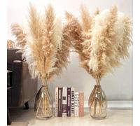 KAOHONG 40-inch Dried Natural Pampas Grass Large 12Pcs, Tall Pampas Grass Decoration with Natural Beige and White for Wedding, Party and Home Decor, 7-285