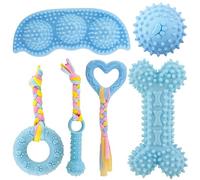 Kapetgo 6 Pack Puppy Chew Toys for Teething, Soft Rubber Bone Ball(Blue)