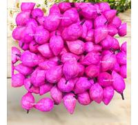 Kapoor Crafts 10 Pcs Artificial Sola Wood Paper Fake Lotus Bud Flowers for Decorations Garland Making Pooja Decor Wedding Housewarming Table Decorations (4 cms), Pink