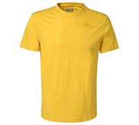 Kappa Cafers Slim Tee Men's Comfortable and Stylish Technical T-Shirt (Pack of 1)