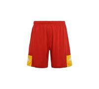 Kappa DAGGO, Board Shorts,
