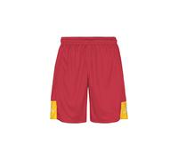 Kappa Men's DAGGO Board Shorts, Red/Yellow Chrome, 4XL