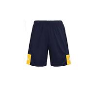 Kappa Men's Daggo Shorts, Blue/Yellow, L