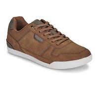Kappa Shoes (Trainers) LENOM in Brown 11