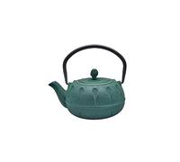 Karaca Greenish Teapot 600 ml, Cast Iron Teapot, Turkish Tea Kettle, Teapot, Authentic Japanese Style'