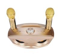 Karaoke Machine for Adults Kids, Speaker with 2 Wireless Microphone, Home KTV Karaoke Mic Speaker Portable Karaoke Systems Supports TF Card/U Disk/AUX (Gold)