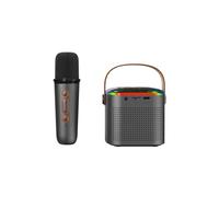 Karaoke Machine for Adults, Portable Bluetooth Speaker with 2 Wireless Microphones,with LED Light and Voice Changing Effects, Suitable for Families, Gatherings, and Camping (Y1,Single - Black)