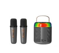 Karaoke Machine for Adults, Portable Bluetooth Speaker with 2 Wireless Microphones,with LED Light and Voice Changing Effects, Suitable for Families, Gatherings, and Camping (Y2,Double - Black)