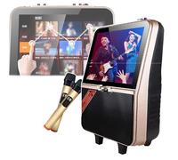 Karaoke Machine for Adults, Smart Connection + Mobile Phone Same Screen, 5 Play Method, with 2 Karaoke Mics,for Family,KTV,Outdoor, Gathering,conference,Brown,A