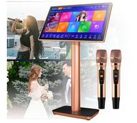 Karaoke Machine Karaoke Player with Reverb Wireless Microphone, 19.5/22-inch capacitive Touch Screen, Cloud Download Function YouTube APP Play Movies and TV Online for Home Party,22inch-4TB