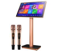 Karaoke Machine Karaoke Player, with Reverb Wireless Microphone, 19.5/22-inch Capacitive Touch Screen Cloud Download Function YouTube APP Online Play,19.5inch-3TB