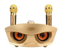 Karaoke Machine, Portable Bluetooth Speaker Karaoke Machine with 2 Wireless Microphone, Multi Function Bluetooth Speaker, SD306 Microphone, Home Style KTV, Birthday Gift