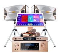 Karaoke Machine, with 2 Reverb Wireless Microphone, 19-inch Capacitive Touch Screen, 2 Speakers, AI Intelligent Voice Song Request&27 Languages, for Home Party, Street Performances, Birthday