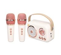 Karaoke Machine with 2 Wireless Microphones, 5W Full Range Speakers, with Bass Boost System, 6 Sound Modes, Portable Bluetooth Speaker Pa System for Home Party, Meeting