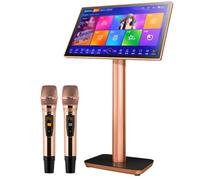 Karaoke Machine with 2 Wireless Microphones for Adults, 19.5" Screen All in One KTV Karaoke Player Perfect for Outdoor Party, 4K High-Definition Capacitive Touch Screen, 26 Languages,Black-4TB