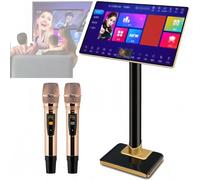 Karaoke Machine with 2 Wireless Microphones for Adults, Powerful 500G Karaoke System, with 19 inch 4K touch screen & Phone App Control Download song, for Home Parties Party-Stage 4T