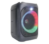 Karaoke Machine with Flashing LED Lights Wireless Boombox for Outdoor