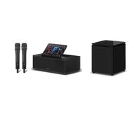 Karaoke Machine with Lyrics Display Screen for Adults 10.1 or 14" Option | 2 Professional Wireless Mics 10 Speaker Drivers Singing Machine For Party/Birthday/Outdoor(Blank-Audio,14 inch(1TB))