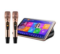Karaoke Player, 18.5Inch Touch Screen, Desktop Type, with Effect Cloud Update Download Song Home Party Karaoke Playback, for Family Bar Home Party,Black-500G