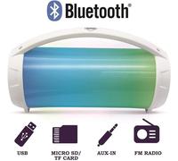 Karaoke Portable Bluetooth Speaker & Microphone & Light Effects