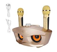 Karaoke System, Home KTV Speaker Speaker with Two Microphones (Gold) Two Microphones Phone Holder USB TF Card AUX Input Portable Speaker for Home Party Mar Auto
