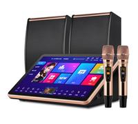 Karaoke System with Wireless Microphones, Built-in Harddisk, DSP Digital Megaphone for Family and Party Entertainment