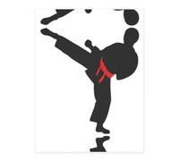 Karate Boy Vector Changeable Belt Color Printing Crystal Stickers for Crafts,Cute Stickers,Craft Supplies for Women Men for Laptop,Skateboard