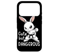 Karate Bunny Cute but Dangerous Funny Martial Arts MMA Case for iPhone 17 Pro
