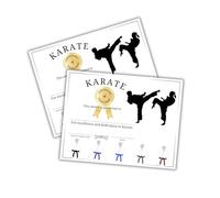 Karate Certificate of Excellence Award 50pk 8.5x11” Martial Arts Trophy Medal Tournament Belt Competition Class Participation Sparing