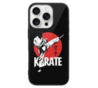 Karate Japan Japanese Glass Case Compatible with iPhone 16 Plus Pro Max Protective Cover