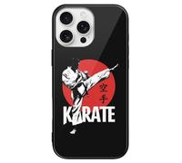 Karate Japan Japanese Glass Case Compatible with iPhone 16 Plus Pro Max Protective Cover