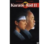Karate kid 2
