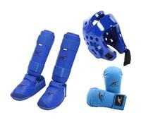 Karate Sparring Gear Set with Boxing Headgear Gloves Shin Guards Protective Training Equipment for MMA Sanda Taekwondo- Blue XL