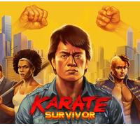 Karate Survivor EU Nintendo Switch CD Key