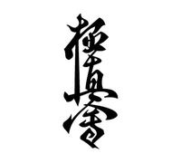 Karate Symbol Martial Wall Decals Art Extreme Sports & Fighting Wall Sticker Sport Art Decal Home Decoration for Boy Room Small - 22x50cm