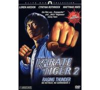 Karate Tiger 2